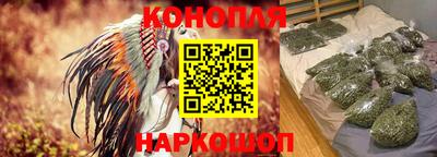 гашик Гай