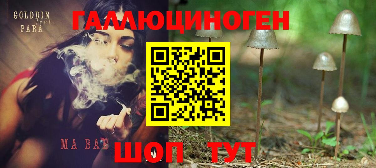 Псилоцибиновые грибы мицелий  Вход с VPN  Псилоцибиновые грибы Psilocybine cubensis  Салехард 