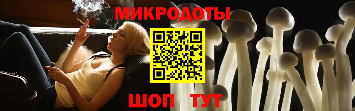 Псилоцибиновые грибы ЛСД Салехард