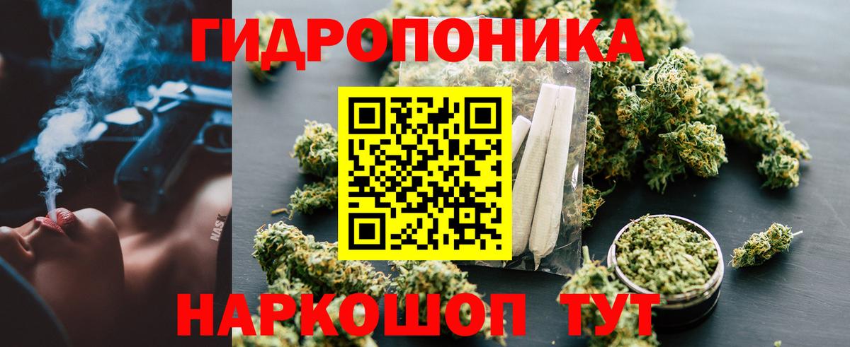 Бошки марихуана OG Kush  Канабис конопля  Бошки марихуана план  Салехард  Вход с VPN  Шишки марихуана MAZAR 
